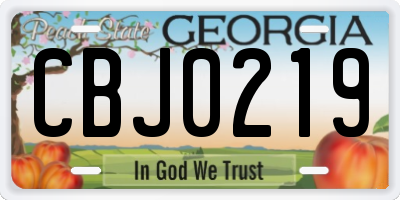 GA license plate CBJ0219