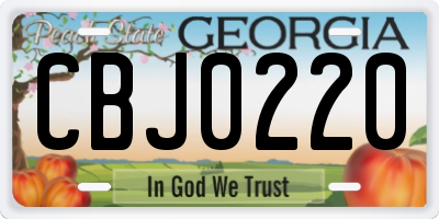 GA license plate CBJ0220