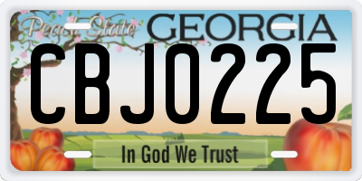 GA license plate CBJ0225
