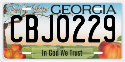 GA license plate CBJ0229