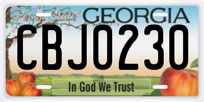 GA license plate CBJ0230
