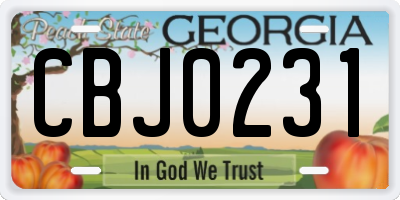 GA license plate CBJ0231