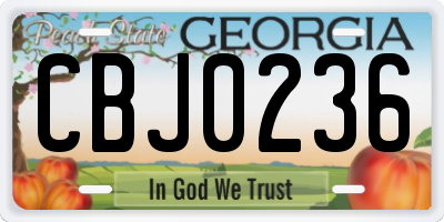 GA license plate CBJ0236