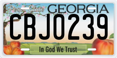 GA license plate CBJ0239