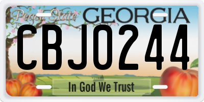 GA license plate CBJ0244