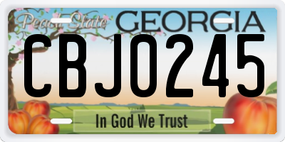 GA license plate CBJ0245