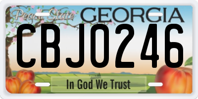 GA license plate CBJ0246
