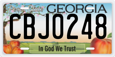 GA license plate CBJ0248