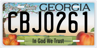 GA license plate CBJ0261