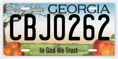 GA license plate CBJ0262