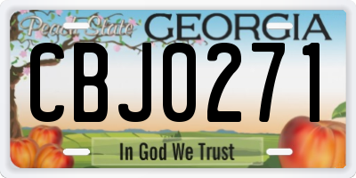 GA license plate CBJ0271