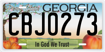 GA license plate CBJ0273