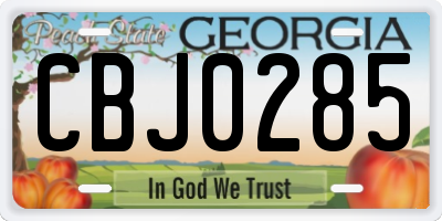 GA license plate CBJ0285
