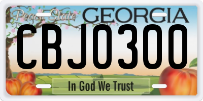 GA license plate CBJ0300
