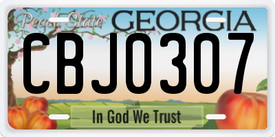 GA license plate CBJ0307