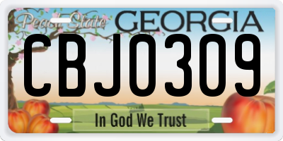 GA license plate CBJ0309