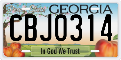 GA license plate CBJ0314