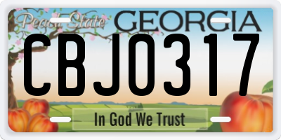 GA license plate CBJ0317