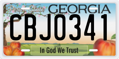 GA license plate CBJ0341