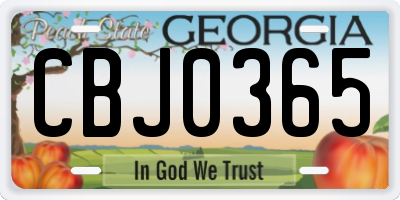 GA license plate CBJ0365