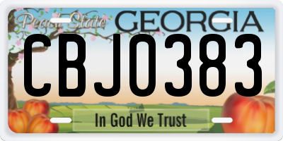 GA license plate CBJ0383