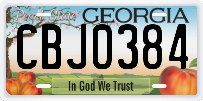 GA license plate CBJ0384