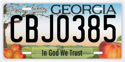GA license plate CBJ0385