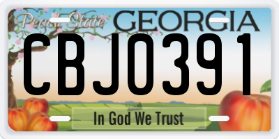 GA license plate CBJ0391