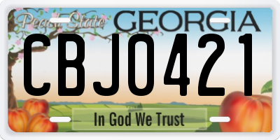 GA license plate CBJ0421