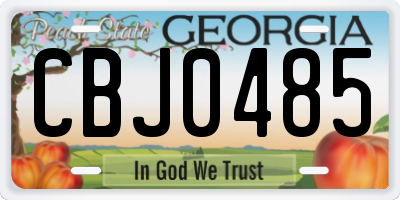 GA license plate CBJ0485
