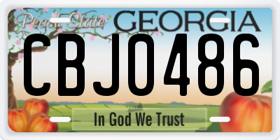 GA license plate CBJ0486