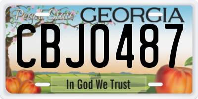 GA license plate CBJ0487