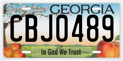 GA license plate CBJ0489
