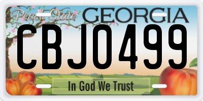 GA license plate CBJ0499