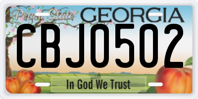 GA license plate CBJ0502