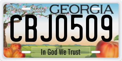 GA license plate CBJ0509