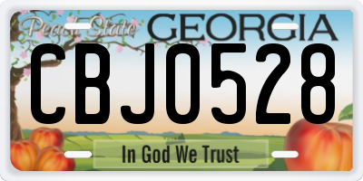 GA license plate CBJ0528