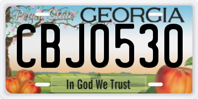 GA license plate CBJ0530