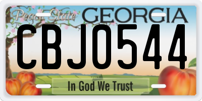 GA license plate CBJ0544
