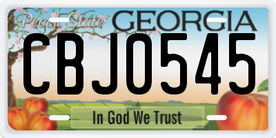 GA license plate CBJ0545