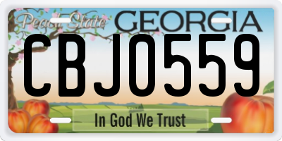 GA license plate CBJ0559