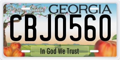 GA license plate CBJ0560