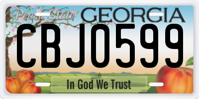 GA license plate CBJ0599