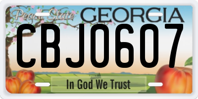 GA license plate CBJ0607