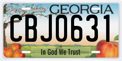 GA license plate CBJ0631