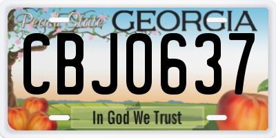 GA license plate CBJ0637