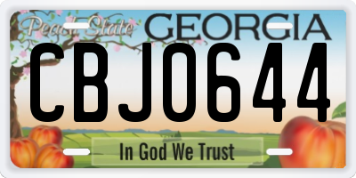 GA license plate CBJ0644