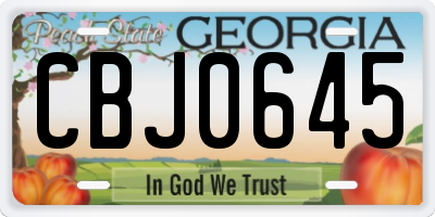 GA license plate CBJ0645