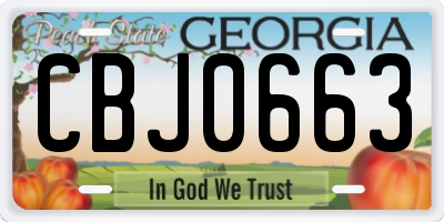 GA license plate CBJ0663
