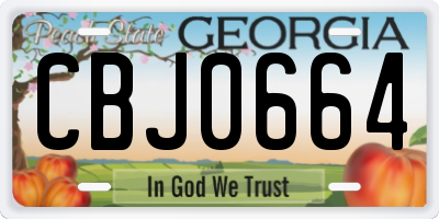 GA license plate CBJ0664